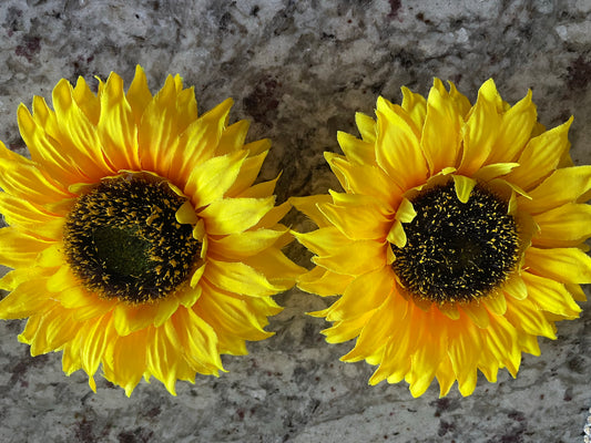 Sun Flower Pasties